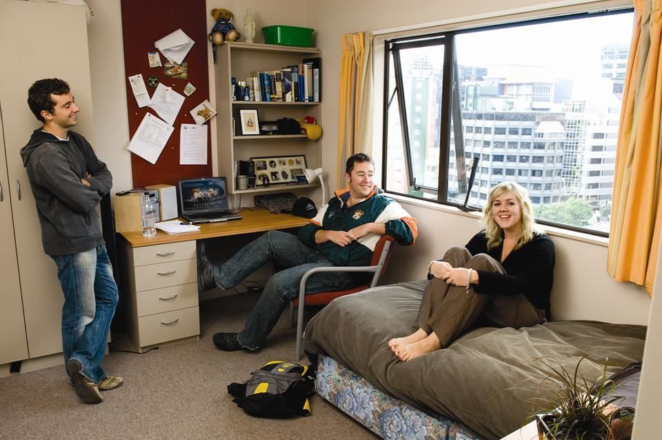 Cuộc sống tại Wellington - Ảnh 2